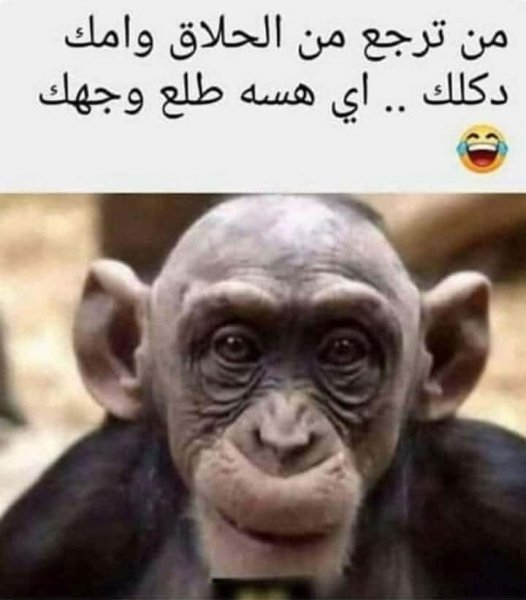 FB_IMG_1757719281620.jpg