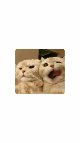 1757907995629.png