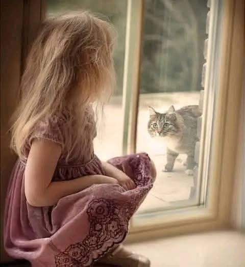 FB_IMG_1758033083230.jpg