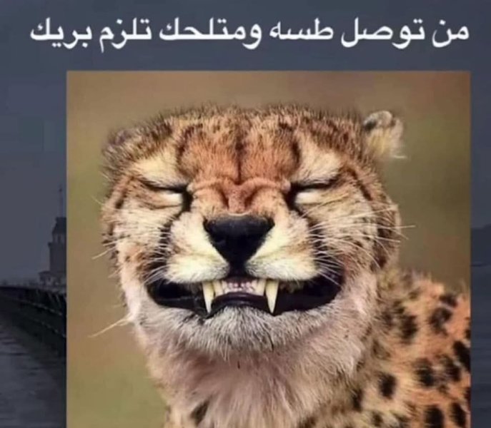 FB_IMG_1758127246521.jpg