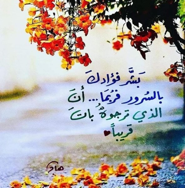 FB_IMG_1758130558082.jpg