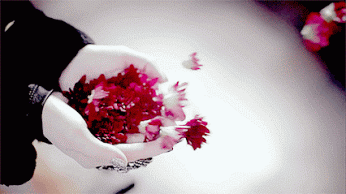 IMG_2697.gif