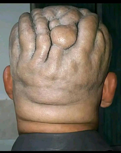 1758310742364.png