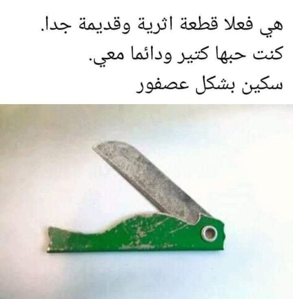 FB_IMG_1758409238433.jpg