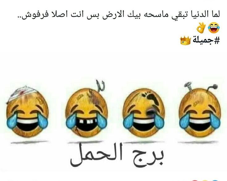 64cdc8be1ddac51d717723db6416826d.jpg