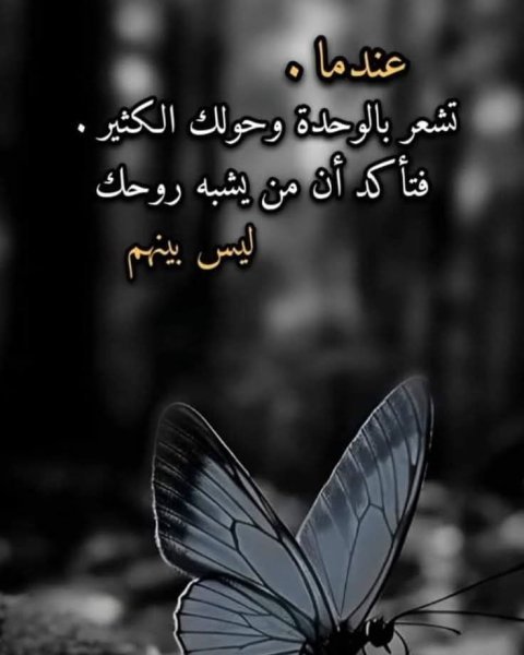 FB_IMG_1757619968759.jpg