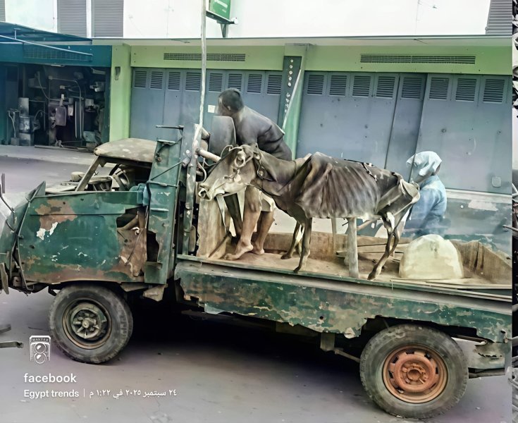ورث.jpg