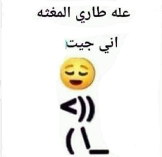FB_IMG_1758908329770.jpg