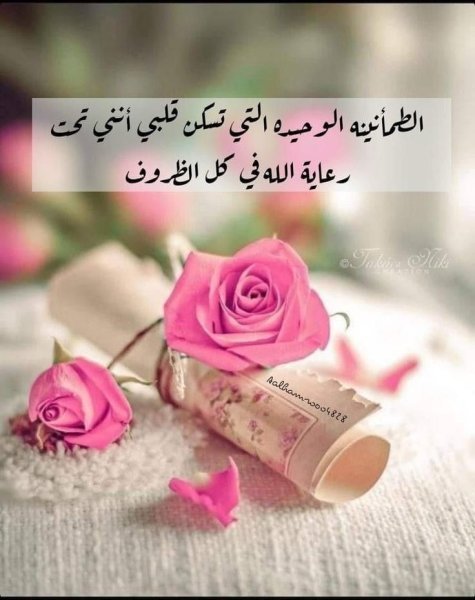 6bd80d30ccf7d4fc1023b49183d9fe74.jpg