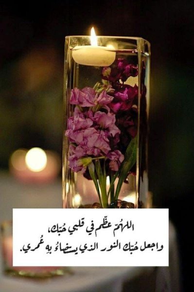 381c8013bcdae5c0382bd2cf15a1efed.jpg