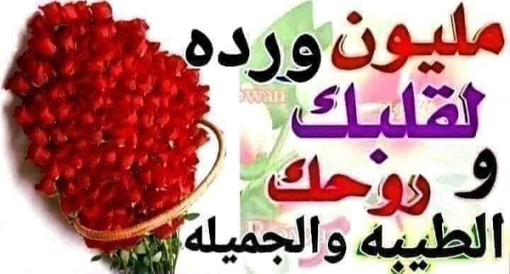 FB_IMG_1717349511841.jpg