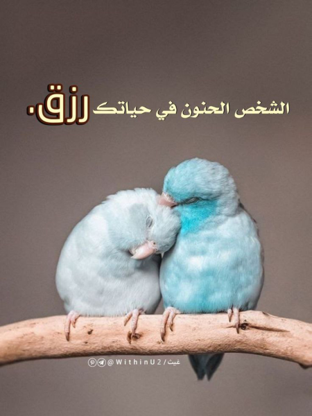1759308952688.png