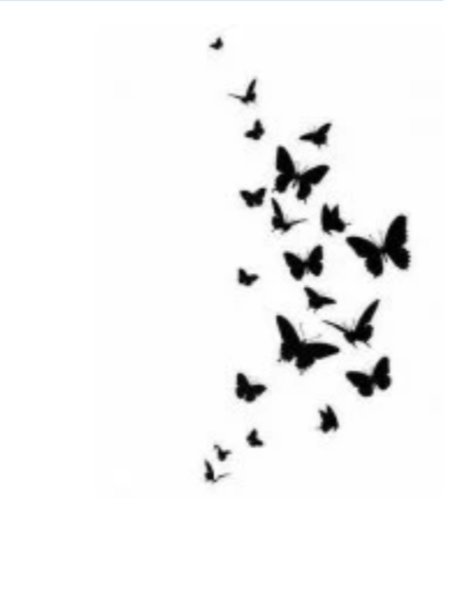 IMG_٢٠٢٥١٠٠٢_٠٧١٣٥٦.jpg