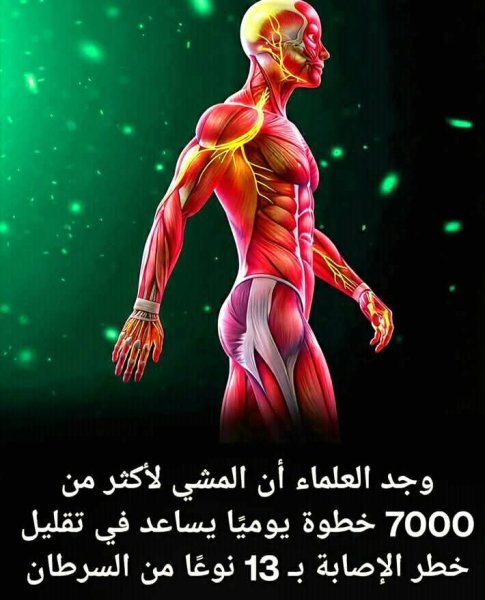 1000142602.jpg