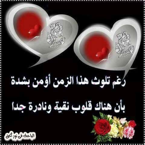 3f74fc92206fb5128dab4ea6354b589a.jpg