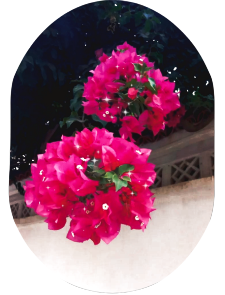 Picsart_25-09-15_12-17-10-934.png