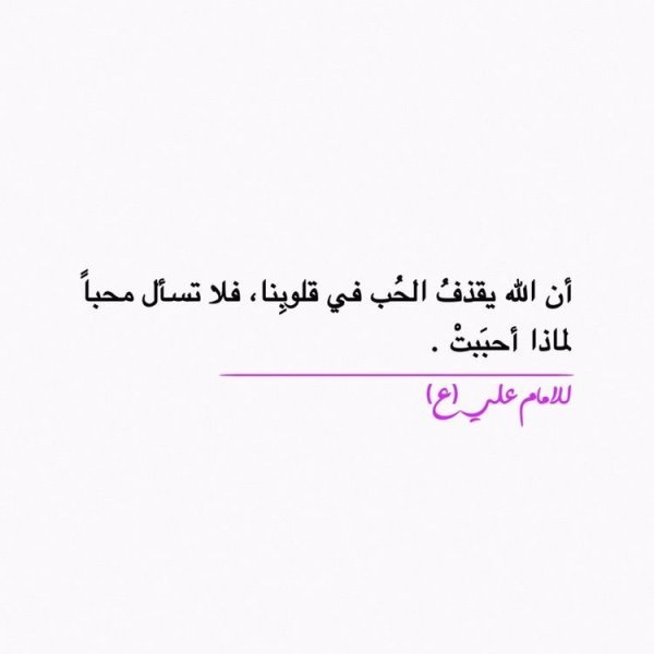 IMG_2013.jpeg