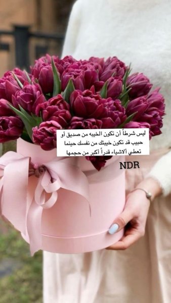 c3964b8e94acc2ba197192287bda493c.jpg
