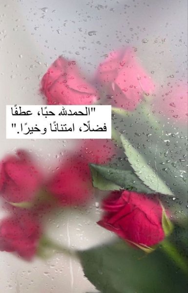 1ee0d92fe553429f296e90593b40b128.jpg