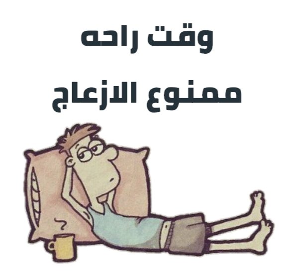 IMG_٢٠٢٥١٠٠٨_٠٩٢٣٢٨_٠٩٣١٥٠.jpg