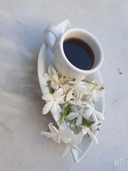 96c5ae3e32734a1fddd42b29da44ef28.jpg 96c5ae3e32734a1fddd42b29da44ef28.jpg