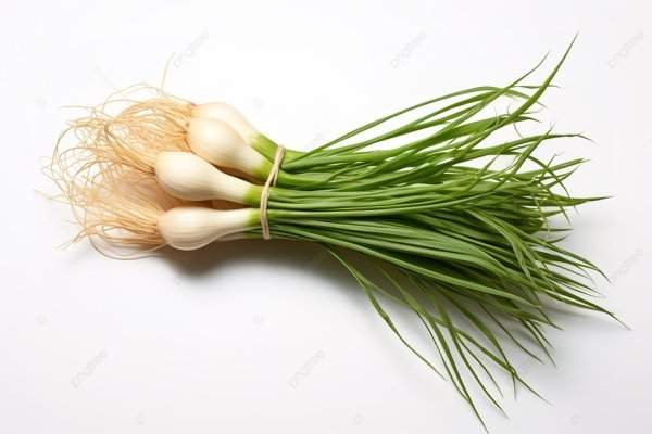 pngtree-fresh-green-onion-closeup-image_12956675.jpg
