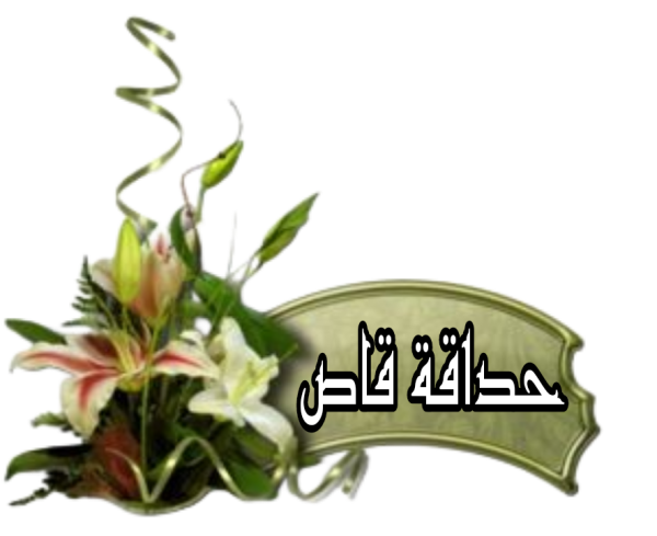 Picsart_25-10-11_14-02-44-704.png Picsart_25-10-11_14-02-44-704.png