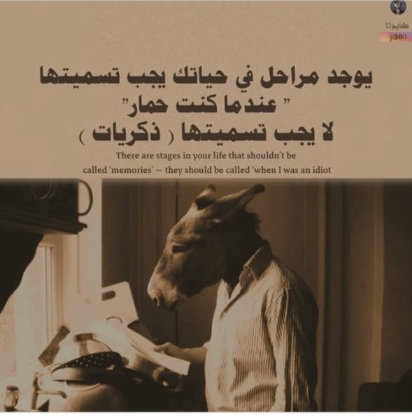 Screenshot_٢٠٢٥١٠٠٧-١٥٥٠٤٤_1.jpg