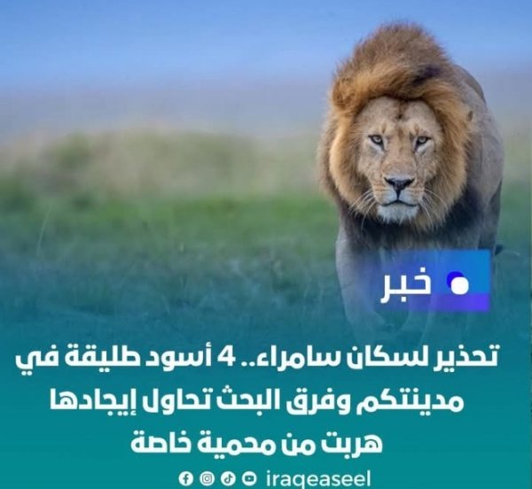 Screenshot_٢٠٢٥١٠١٤-٠٦٢٧٥٤_1.jpg
