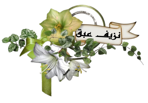 Picsart_25-10-15_06-06-42-642.png Picsart_25-10-15_06-06-42-642.png