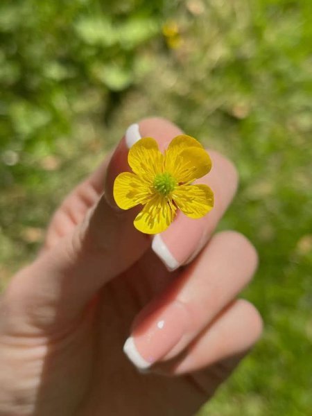 FB_IMG_1760437157951.jpg FB_IMG_1760437157951.jpg