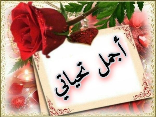 a1fee7dadcabed8315c9069b6ad1b80a.jpg