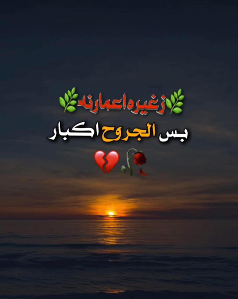 1761041819184.png 1761041819184.png