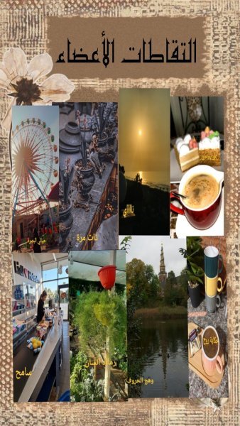 Picsart_25-10-21_16-55-59-778.jpg