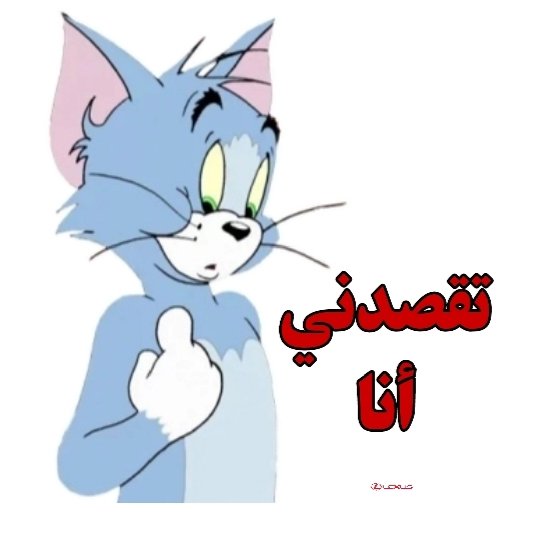 IMG_٢٠٢٥١٠٠٨_١٠٢٩٠٧_١٠٣٧٣٤.jpg