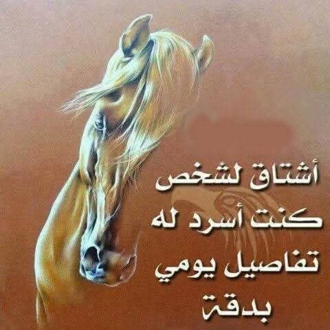 FB_IMG_1759230231097.jpg
