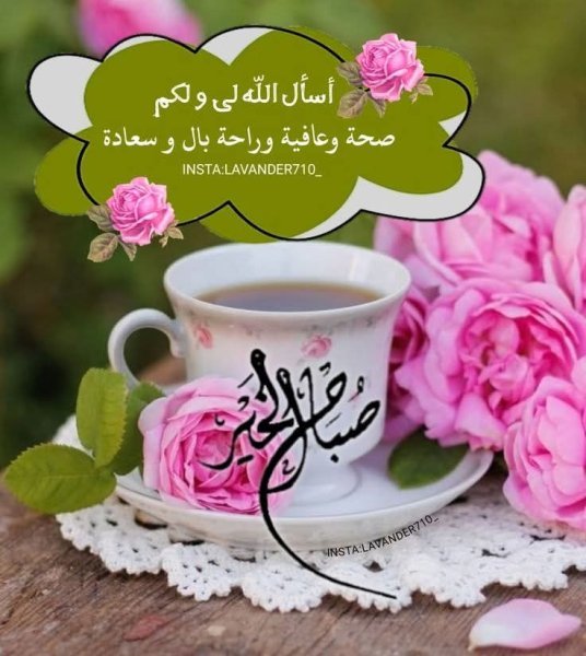 FB_IMG_1752565009580.jpg