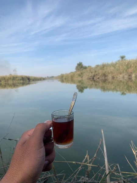 IMG_4896.jpeg IMG_4896.jpeg