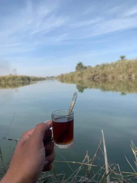 IMG_4896.webp IMG_4896.webp