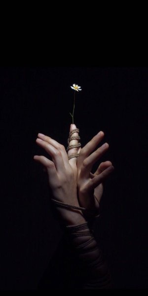 IMG_2578.jpeg IMG_2578.jpeg