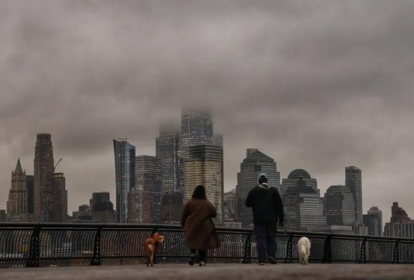 IMG_20251031_033112_955.jpg IMG_20251031_033112_955.jpg