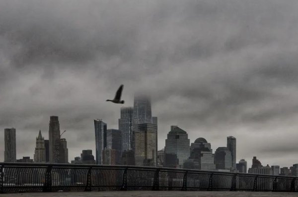 IMG_20251031_033117_004.jpg IMG_20251031_033117_004.jpg