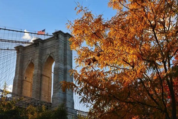 IMG_20251031_033149_611.jpg IMG_20251031_033149_611.jpg