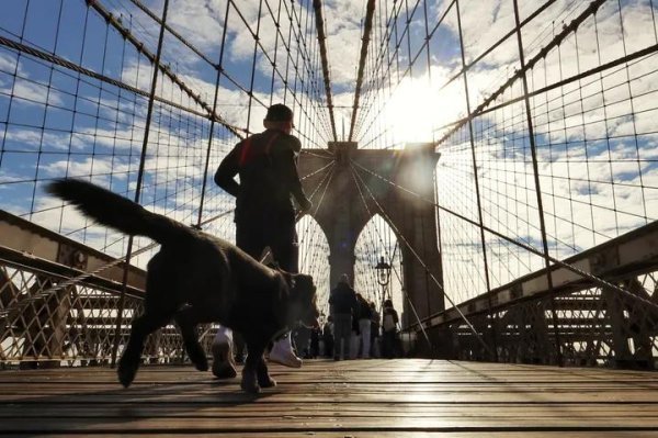 IMG_20251031_033212_891.jpg IMG_20251031_033212_891.jpg