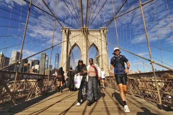 IMG_20251031_033217_787.jpg IMG_20251031_033217_787.jpg