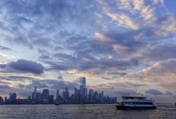 IMG_20251031_033355_597.jpg IMG_20251031_033355_597.jpg