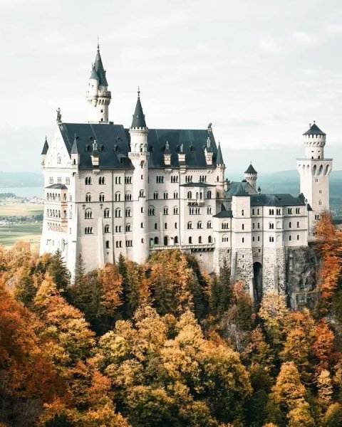 IMG_20251031_090720_915.jpg IMG_20251031_090720_915.jpg