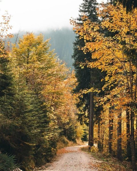 IMG_20251031_090718_390.jpg IMG_20251031_090718_390.jpg