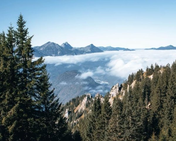 IMG_20251031_090715_108.jpg IMG_20251031_090715_108.jpg