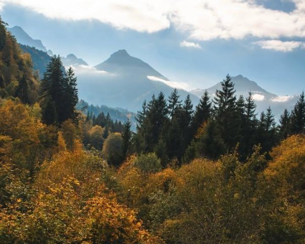 IMG_20251031_090711_078.jpg IMG_20251031_090711_078.jpg